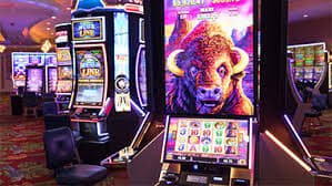 999bd casino পরিষ্কার তুলনামূলক অভিজ্ঞতার উপস্থাপনা